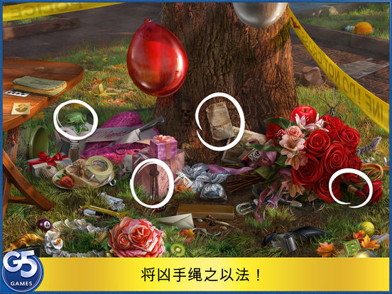 新娘连环被杀案2