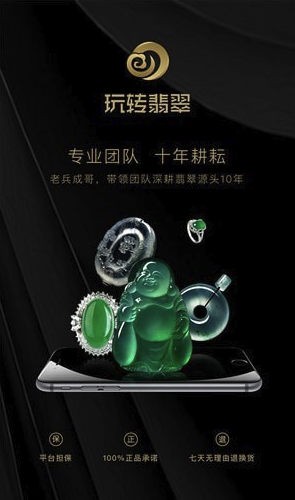 玩转翡翠(玩转翡翠)最新安卓版4