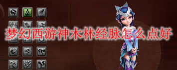 梦幻西游神木林最新经脉如何点