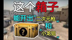 龙狙在哪个箱子能出