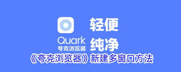 夸克浏览器怎样新建多个窗口