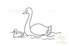 如何轻松画出优雅天鹅简笔画