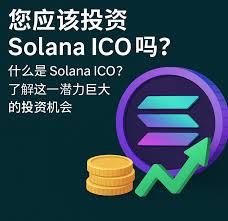 索拉纳币是否值得长期持有