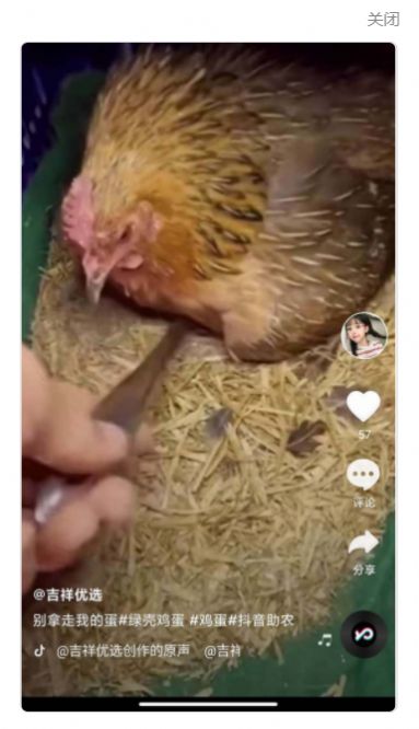 全民刷刷短视频全新版本1