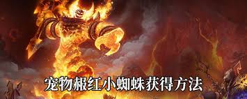 魔兽世界如何获得赧红小蜘蛛