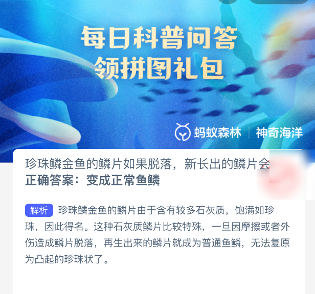 神奇海洋2025.11.5今天答案是什么