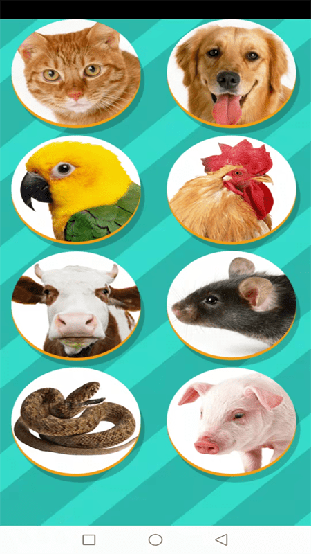 动物交流模拟器安卓版3