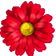 鲜花直播盒子ios版