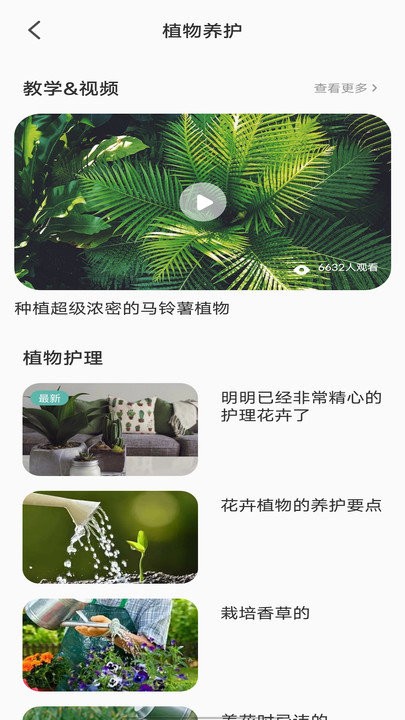 拍照识别植物弛意版3