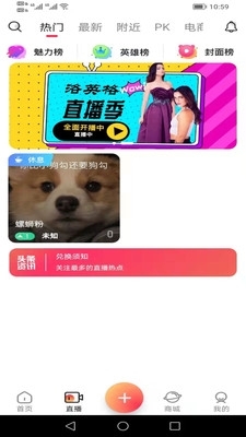 洛英格直播自定义版3