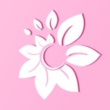 花儿直播无会员