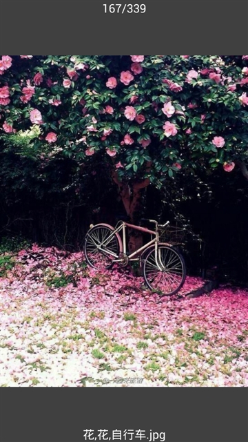 All图片批量下载3