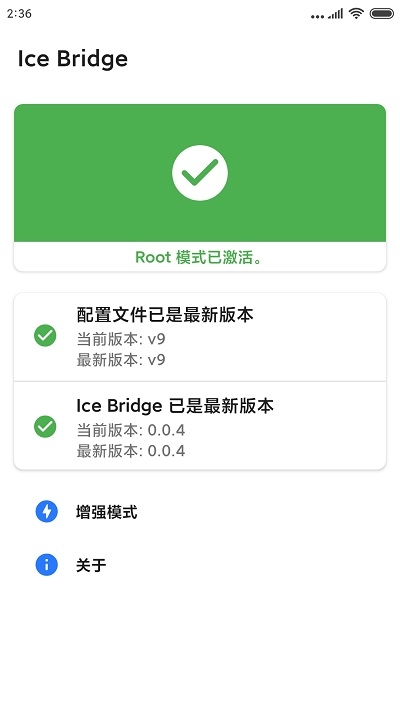 Ice Bridge2