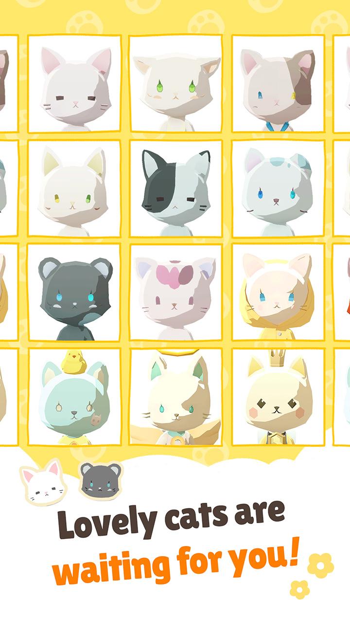 亲爱的我的猫咪1