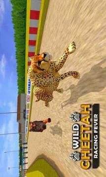 野生 猎豹 赛跑 模拟器2