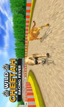 野生 猎豹 赛跑 模拟器4