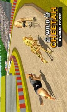 野生 猎豹 赛跑 模拟器5