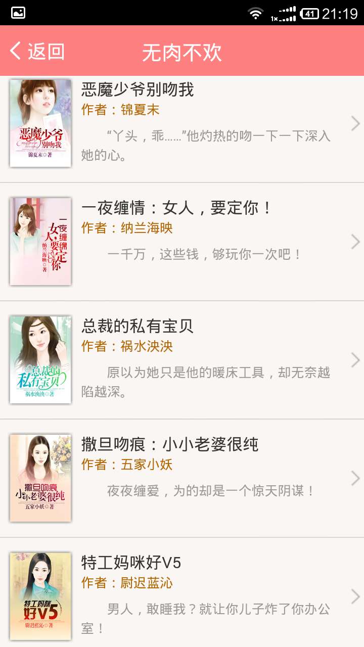 私密小说正式版4