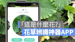 形色app如何鉴定植物