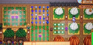 星露谷物语农作物收益怎么算