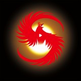 琅琊短视频免费正版