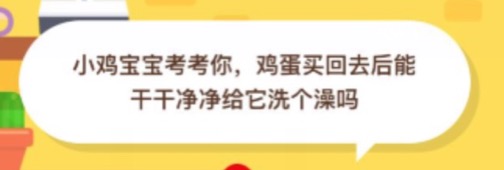 鸡蛋买回去后能干干净净给它洗个澡吗？支付宝小鸡庄园10月31日正确答案