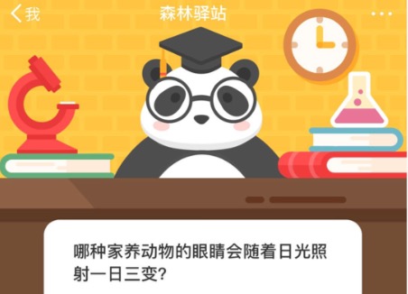 哪种家养动物的眼睛会随着日光照射一日三变？微博森林驿站11月4日今日答题答案