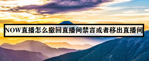 NOW直播如何撤回直播间禁言或者移出直播间