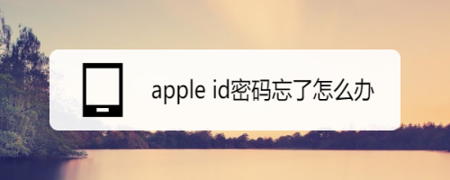 apple id密码忘了如何处理