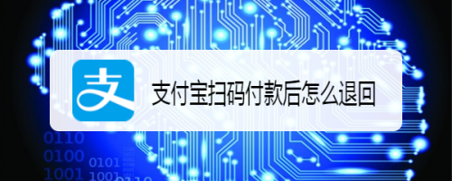 支付宝扫码付款后如何退回