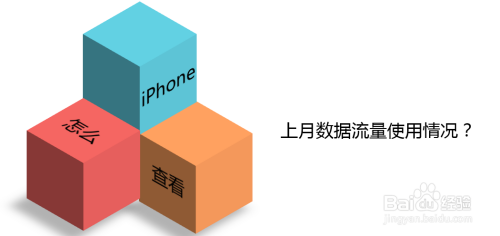 苹果怎么看流量上个月的使用情况