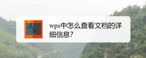 wps如何查看文档的详细信息