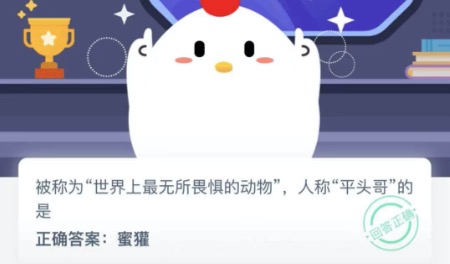 人称平头哥的动物是谁？蚂蚁庄园12月08日答案最新