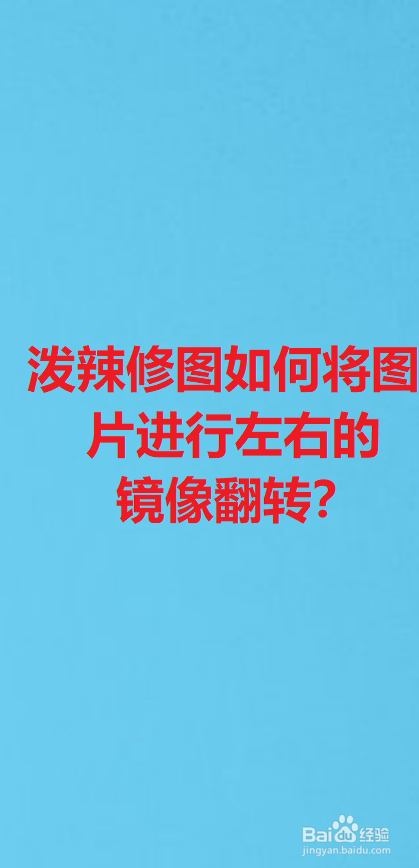 泼辣修图怎么将图片进行左右的镜像翻转