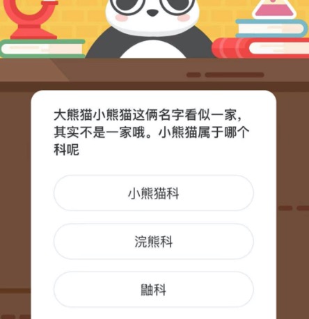 小熊猫属于哪个科呢？微博森林驿站12月11日今日答题答案