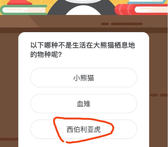 以下哪种不是生活在大熊猫栖息地的物种呢？微博森林驿站12月13日今日答题答案