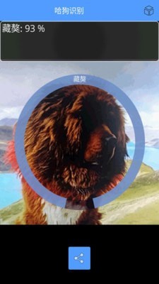 形色识物1