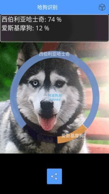 形色识物4