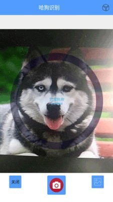 形色识物5