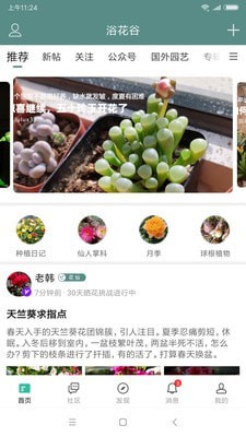 浴花谷0