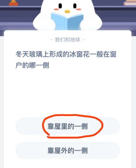 冰窗花一般在窗户的哪一侧？小鸡庄园答题12月20日最新答案