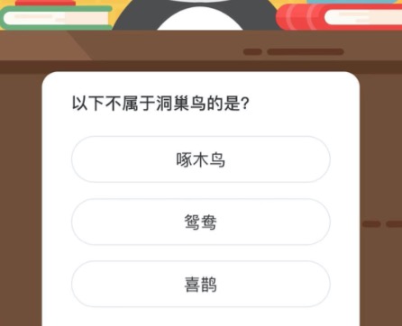 以下不属于洞巢鸟的是？微博森林驿站12月22日今日答题答案