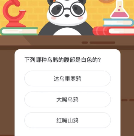 下列哪种乌鸦的腹部是白色的？微博森林驿站12月23日今日答题答案