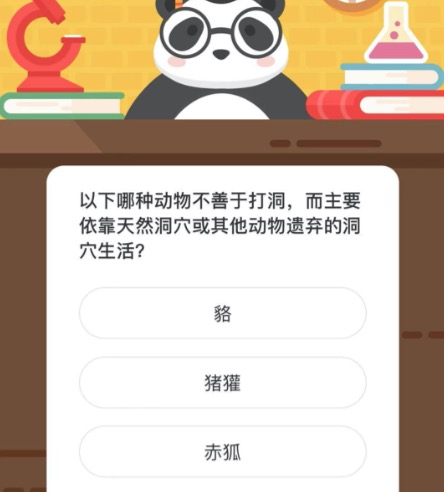 以下哪种动物不善于打洞，而主要依靠天然洞穴或其他动物遗弃的洞穴生活？微博森林驿站12月24日今日答题答案