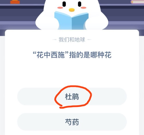 支付宝小鸡2020年12月26日今天答案是什么？支付宝小鸡庄园12月26日正确答案