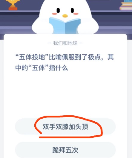 五体投地比喻佩服到了极点其中的五体指什么？蚂蚁庄园12月28日答案最新