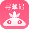 寻草记