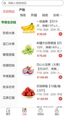 海豚果果1