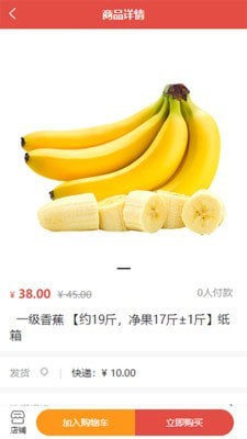 海豚果果2