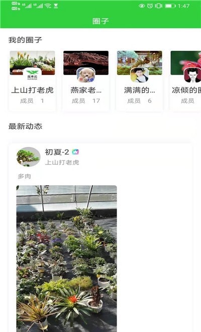 花木云0
